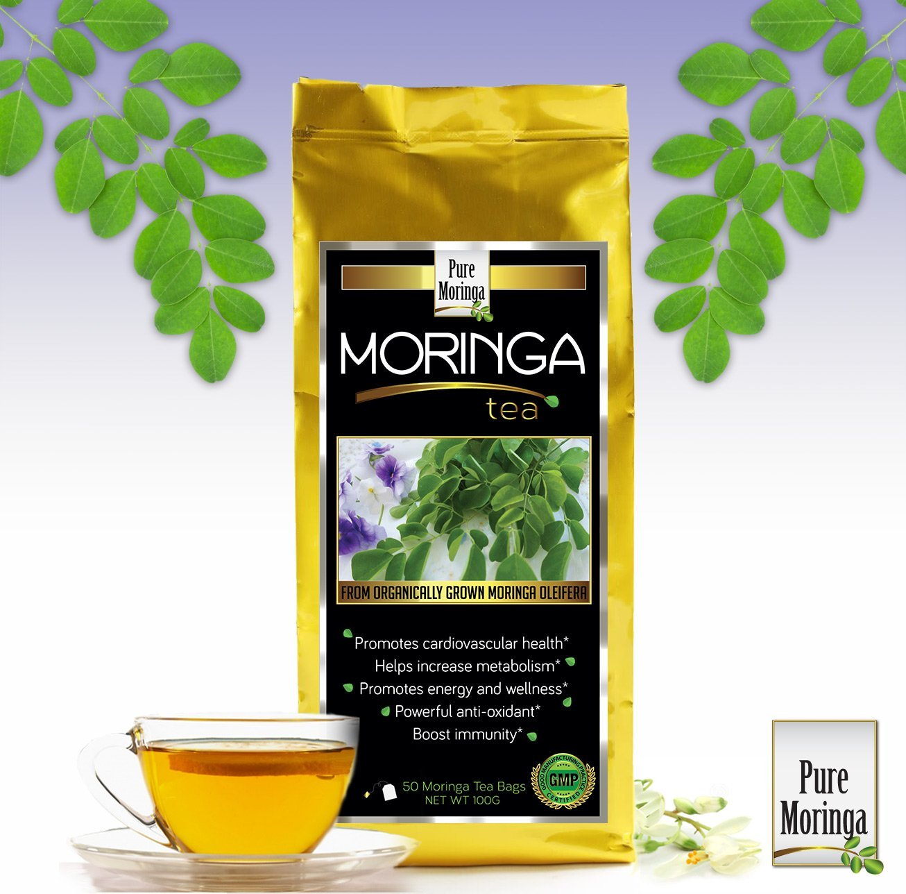 Pure Moringa LLP'