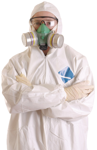 Clear Asbestos Removal'