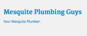 Mesquite Plumbing Guys'