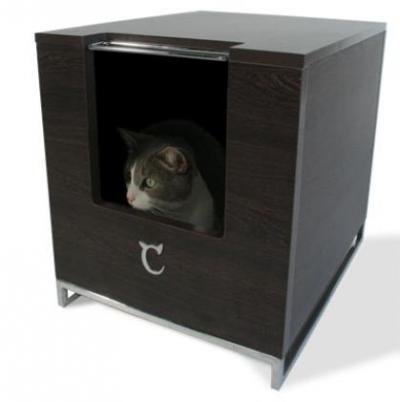 Modern Cat Designs