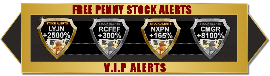 Recent Winning Alerts
