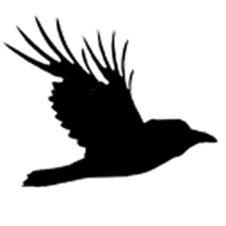 Raven2'