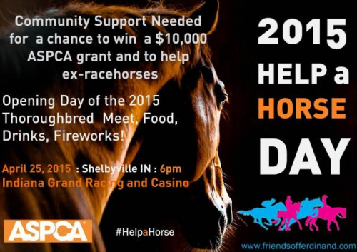 HelpAHorse Day 2015'