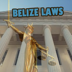 Company Logo For Belize Laws'