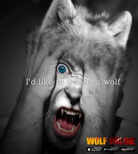 Wolf Online 5