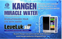 best water ionizer