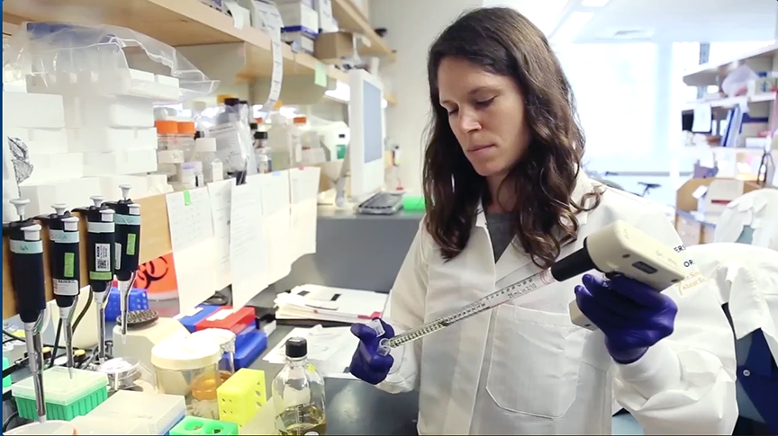 Recruit more scientists to fight the disease of your choice!