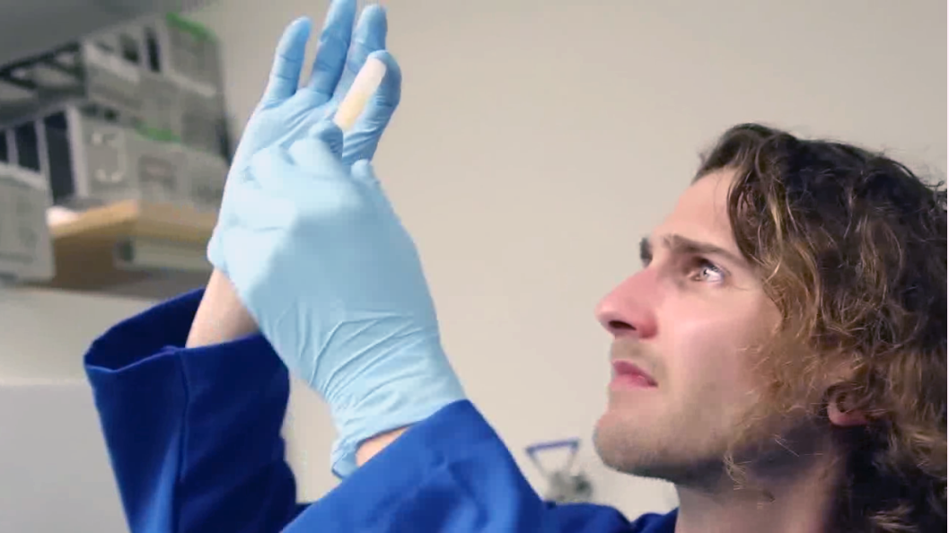 Recruit more scientists to fight the disease of your choice!