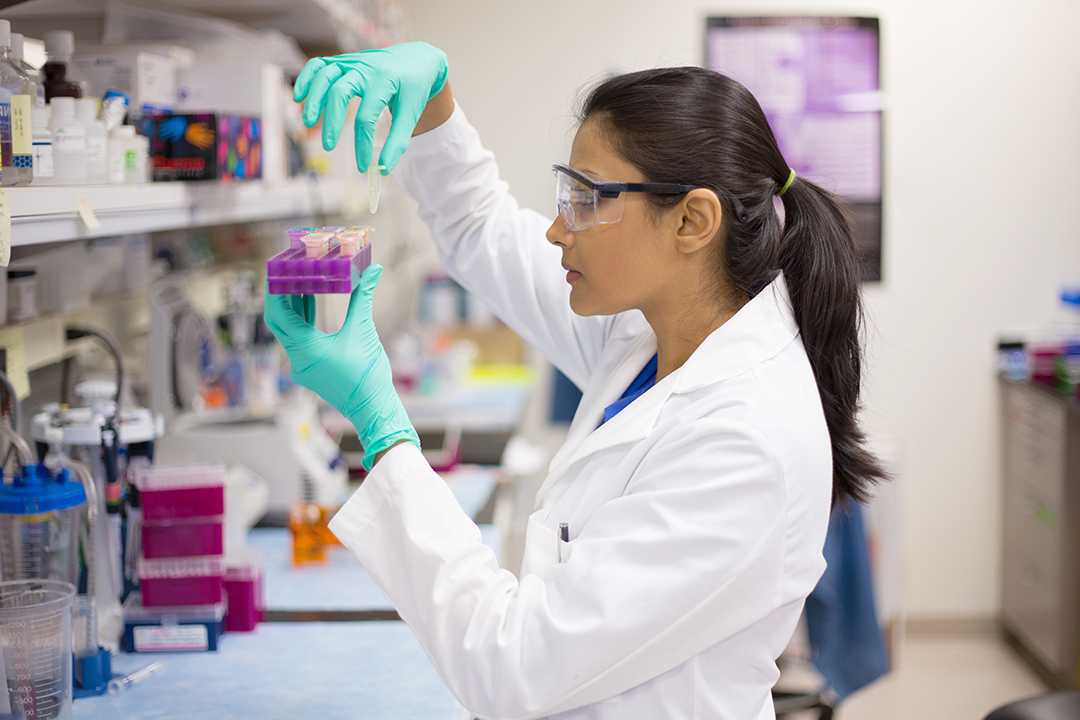 Recruit more scientists to fight the disease of your choice!