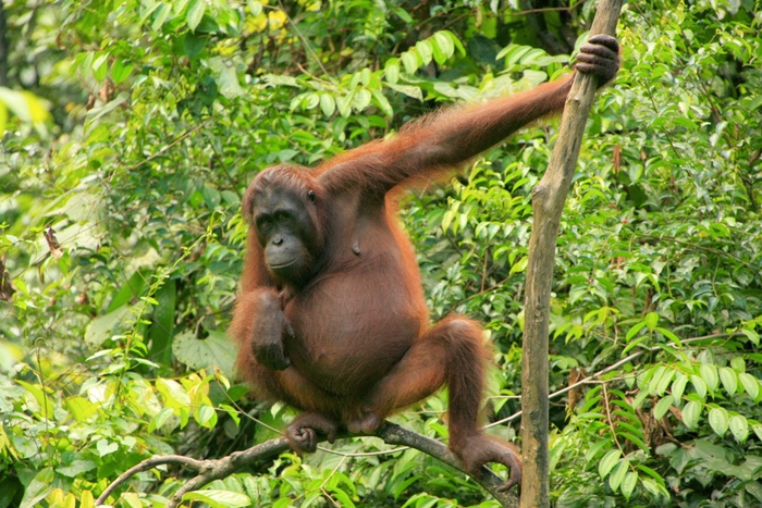 &amp;quot;A Photographer's Eye &amp;amp; A Traveler'