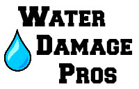 Water Damage Pros'