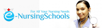 e-nursing schools