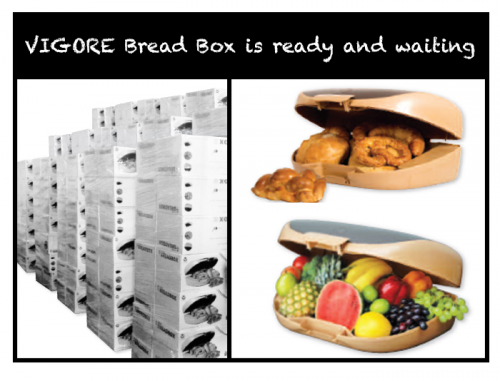 Vigore Breadbox'