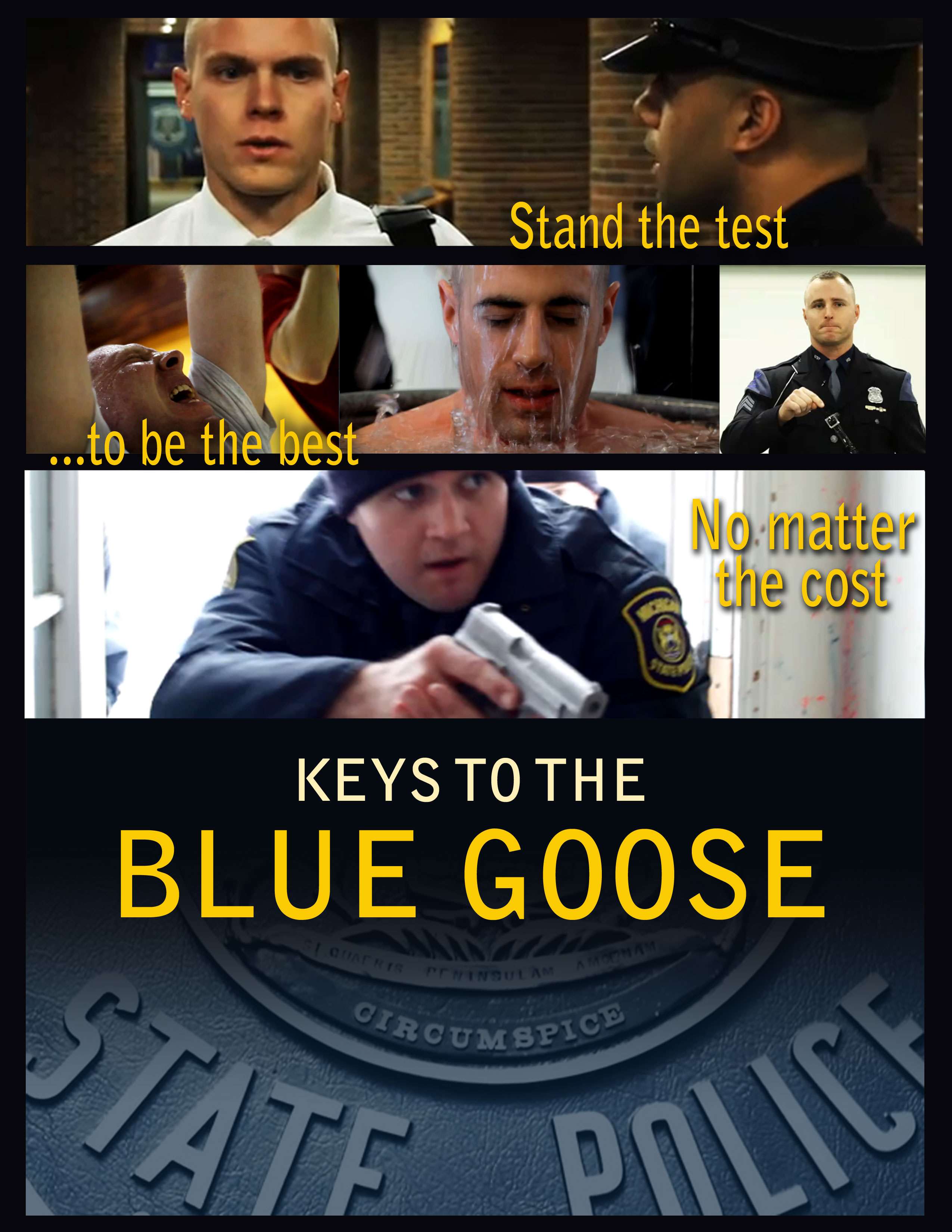 Blue Goose'