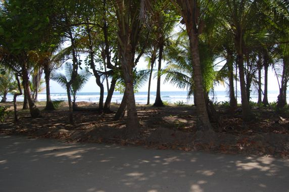 Beach view from Lot #1'