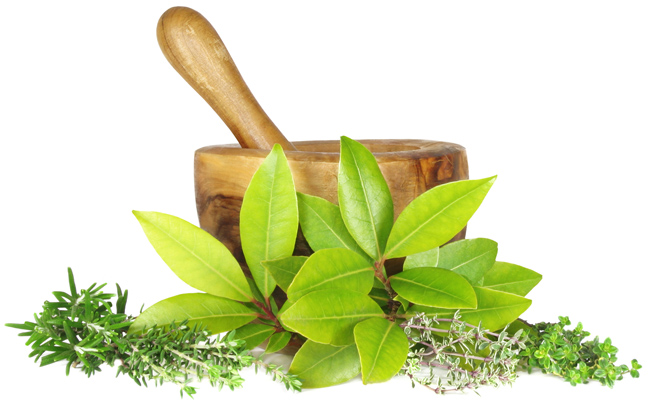 Rajshahi Herbal Health Care'