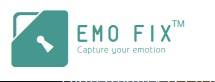 Company Logo For EmoFix'