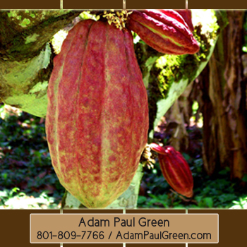 Adam Paul Green