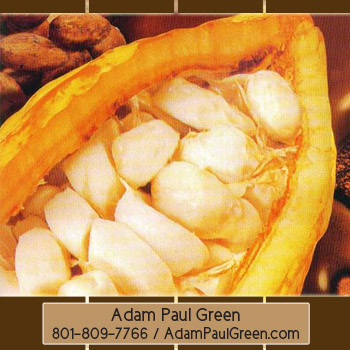 Adam Paul Green