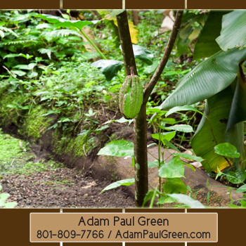 Adam Paul Green'