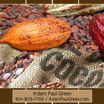 Adam Paul Green