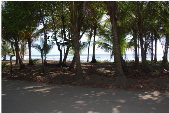 Ackerman Realty International'