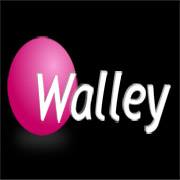 Company Logo For Walley'