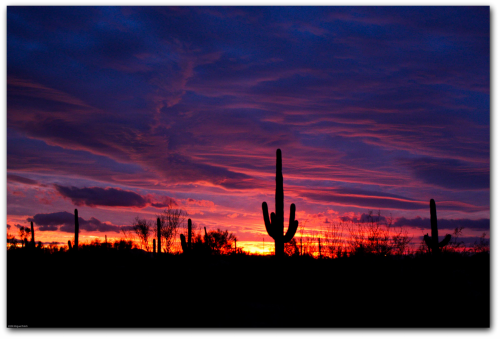 sober living mesa az