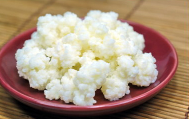 kefir