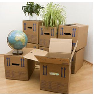 Elephant Removals Ltd