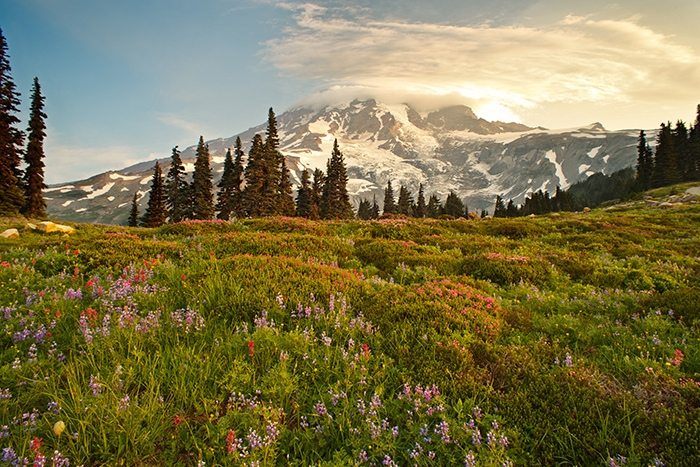 The Glory of the Northern Rockies