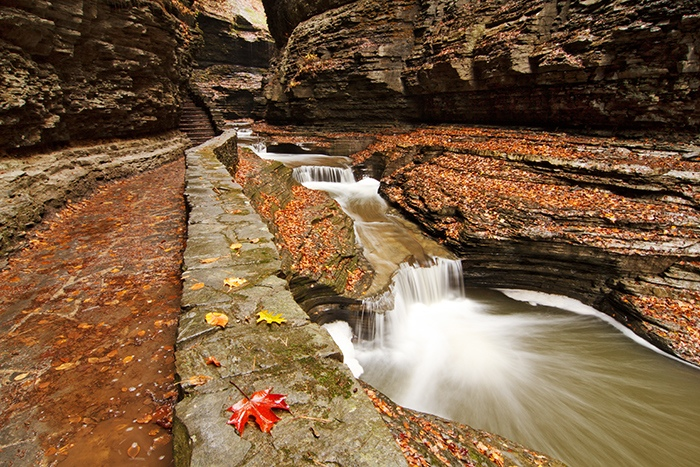 The Glory of the Northern Rockies
