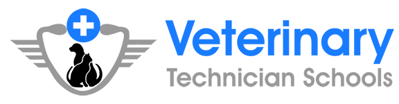 Veterinary Technician Schools