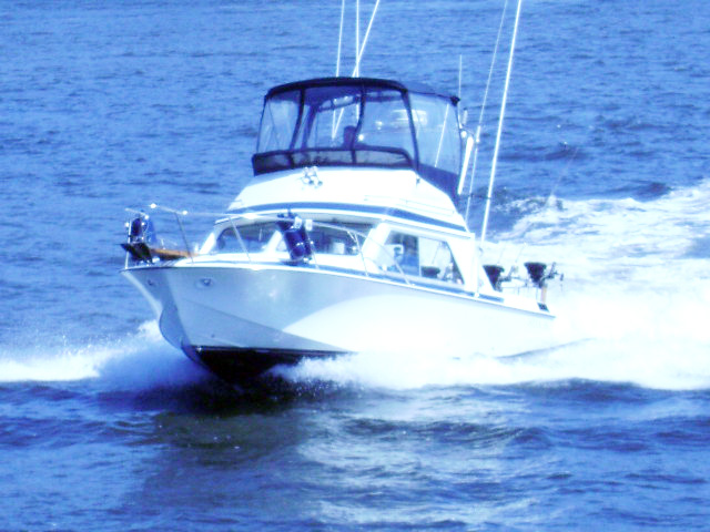 Deep Respect Fishing Charters