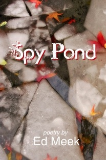 Spy Pond'