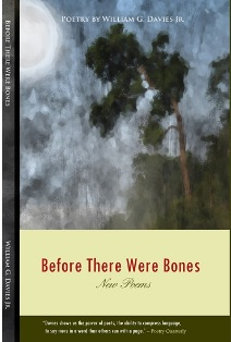 Before There Were Bones'