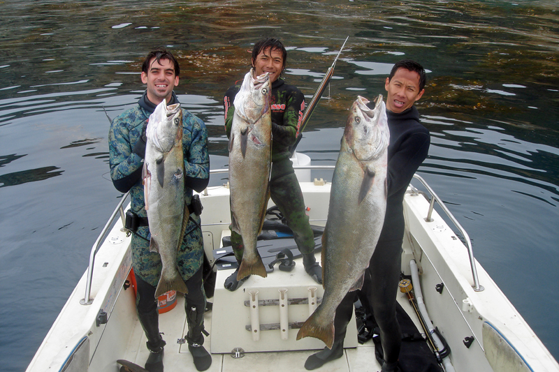 Spearfishing Blog