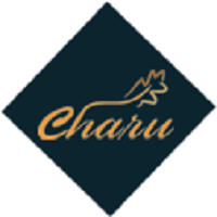 Company Logo For Charu Fashions'