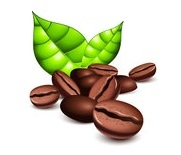 Pure Green Coffee Extract'