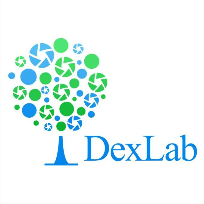 Company Logo For DexLab Solutions Corp'