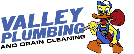 Valley Plumbing and Drain Cleaning'