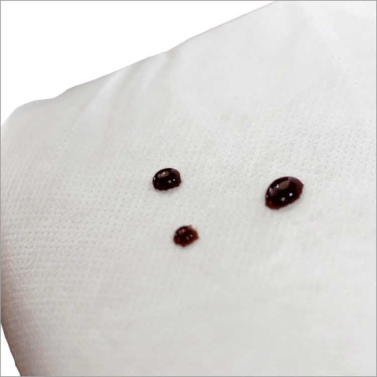 Waterproof Mattress Protectors'