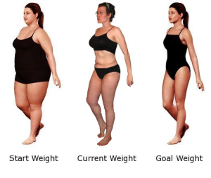 weight destroyer program'