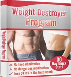 effective weight destroyer program'