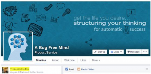 A Bug Free Mind'