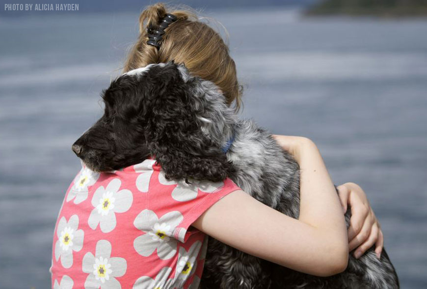 Pet and Women Safety Act