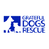 Grateful Dogs Rescue'