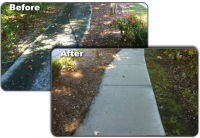 Sidewalk - Before & After