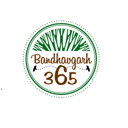 Company Logo For Bandhavgarh 365'