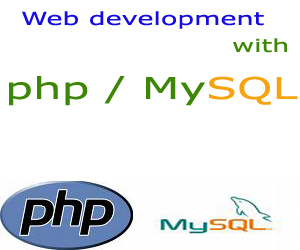 Logo for Viswam Infotech'